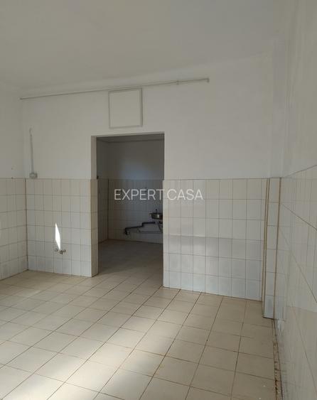 Spatiu Comercial | Cismigiu | Victoriei | Stradal