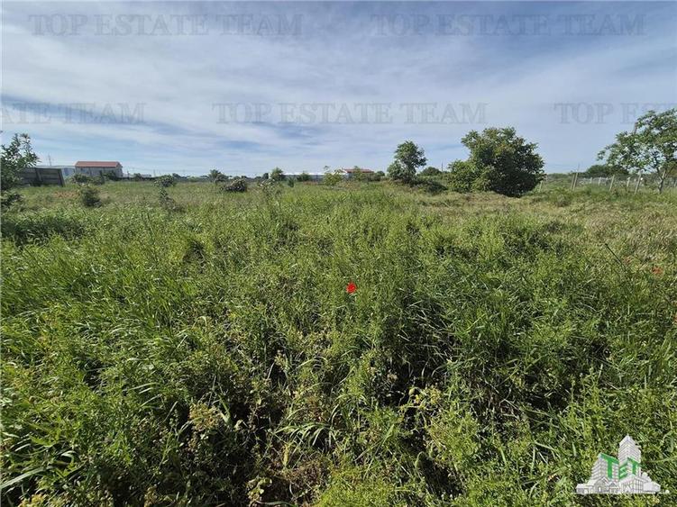 Teren intravilan zona Viile noi-km5