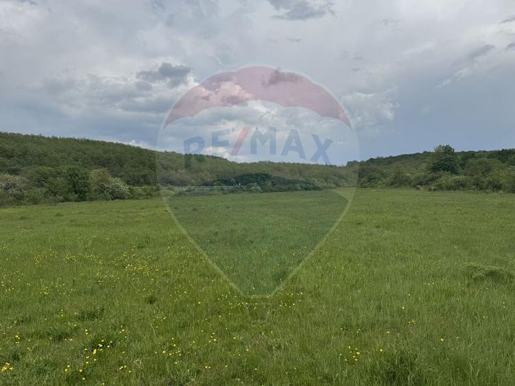 Proprietate OFF-GRID 5,76 Ha. Casa tradiționala lemn. Limită Cluj