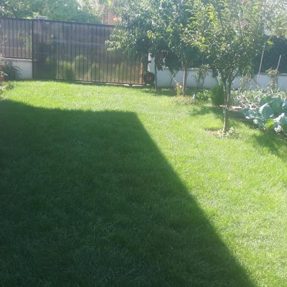 Casă P+1 de vânzare în Ovidiu Sud – 3 dormitoare, 3 garaje, teren 552 mp