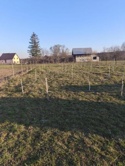 Casa finisata, teren 2500mp, Marginea