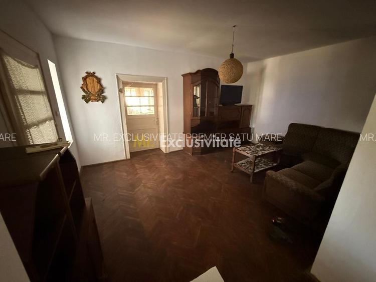 Casa de vânzare in Livada , Satu Mare - 21