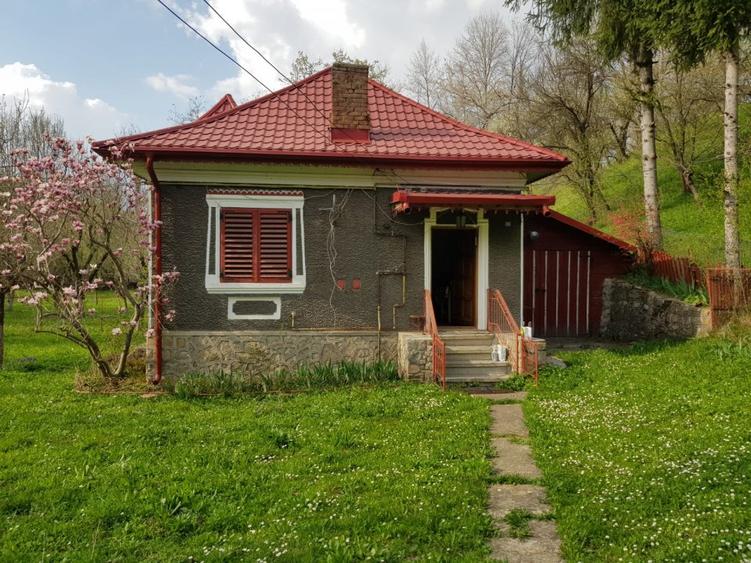 Vanzare casa Fieni - Runcu