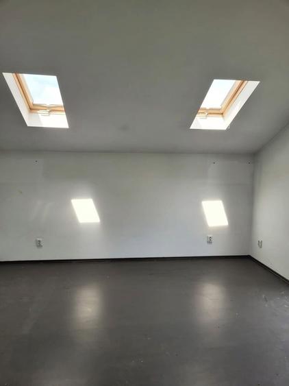 Vilă spațioasă S+P+1E+M | Chitila | Str. 8 Martie