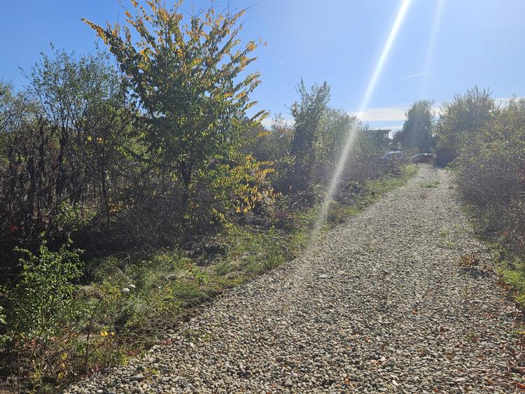 Lot de 720mp de vanzare in Vladiceasca, intrare DN1 - Snagov Plaza
