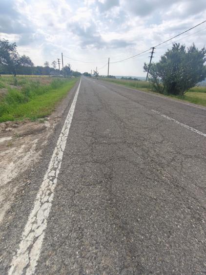 Casa+teren 5000mp, 70ml la DN 2E, zona Cacica, Radauti