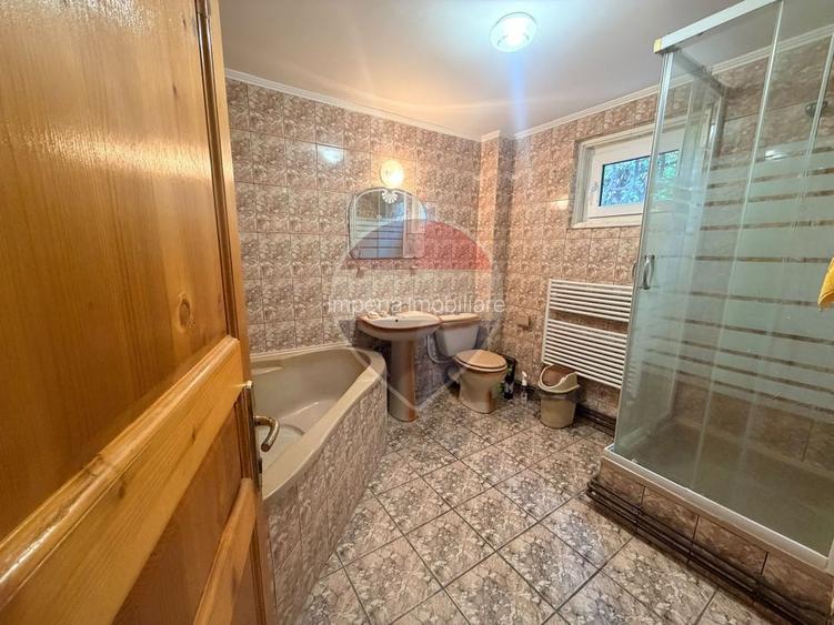 Leamna de sus, casa cu piscina, 2000mp - 17