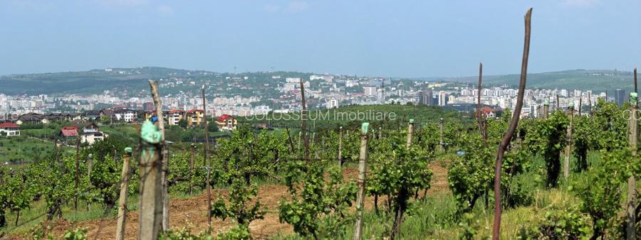 Teren de vanzare,  la 1,3km de LIDL Bucium, vecinatate cartier Panoramic - 4