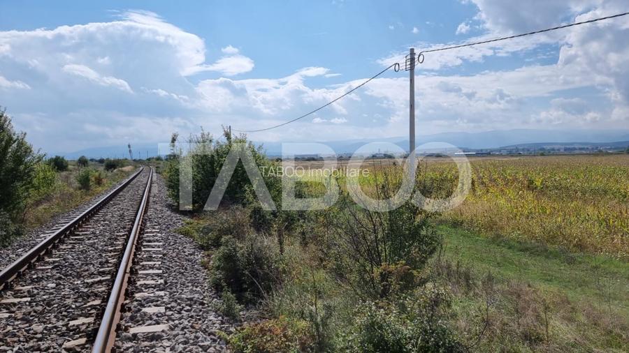 Oportunitate investitie Comision 0%  28000 mp in Sura Mica Sibiu - 7