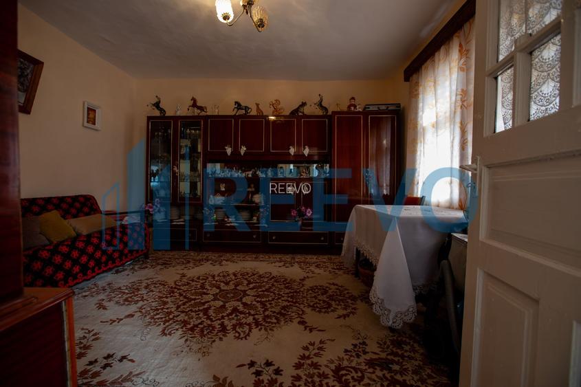 Casa si teren 3365mp Sascut - 6