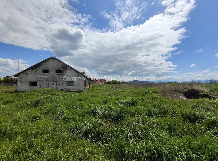 Teren parcelabil, 4,1 Ha, Brașov - Bod. Negociabil! - 6