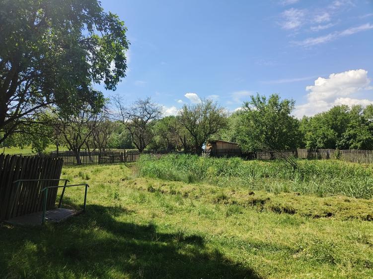 Casa la 5 km de Targu-Neamt - cu iaz si livada matura - gata pentru mutat