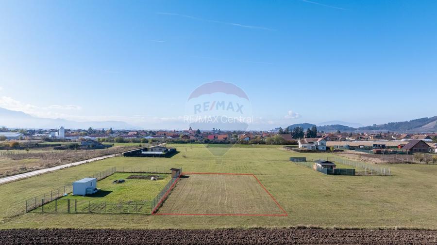 Teren Harman, Strada Henri Coanda, 1000mp - 3