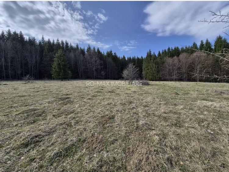 Teren intravilan la baza pădurii Valea Doftanei sat Traisteni (poduri) - 5