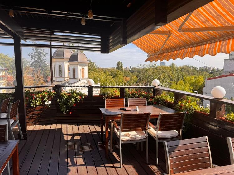 Cismigiu, prieliste superba,  vila consolidata si renovata total. - 4