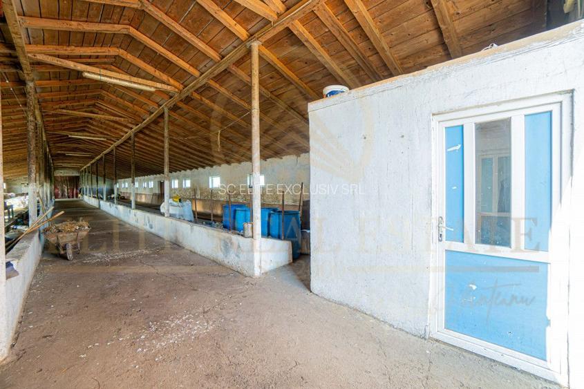 Tariverde - Ferma zootehnica functionala, 3 hectare teren intravilan! - 16