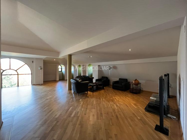 VILA DEOSEBITA / SPATII GENEROASE / CURTE PROPRIE - 46