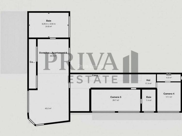 Pensiune cu piscină / Clinica medicala / Azil / Locuit in Timisoara - 22