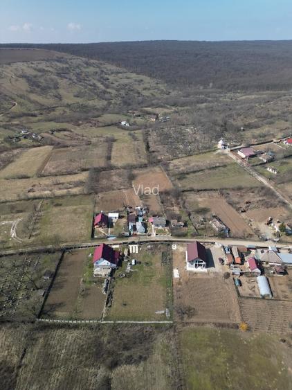 Teren 1797mp Dobrovăț-Ruși | Lângă Pădure | Gard Aluminiu & Fântână - 8