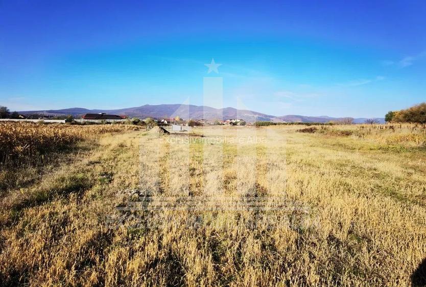 Teren intravilan | 1800 mp | 14 ml deschidere | Alba-Micesti - 4