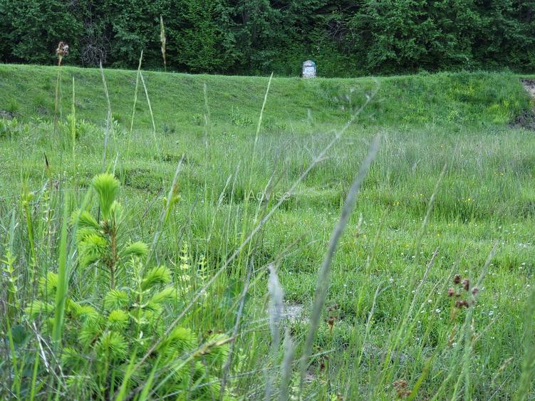 Teren de 12.000 mp la Vama Buzăului – Locație de Vis cu PUZ Aprobat - 8