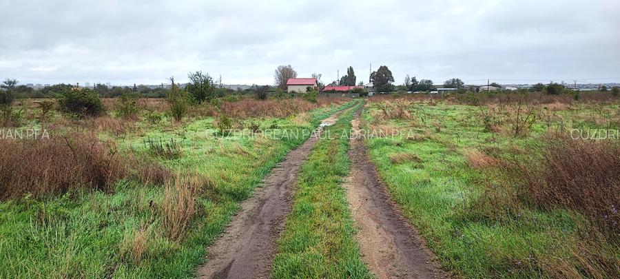 Teren intravilan 440mp, Agigea - 3