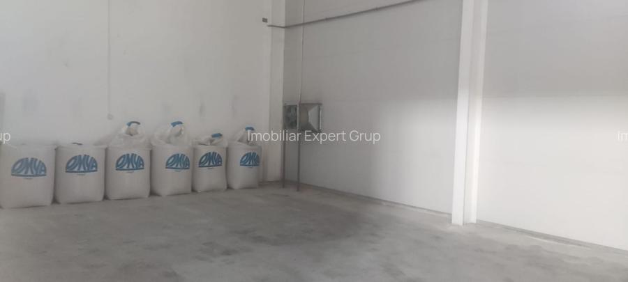 Hala Buftea DN 1A   1278 mp pe Teren 5000 mp Chilipir - 10