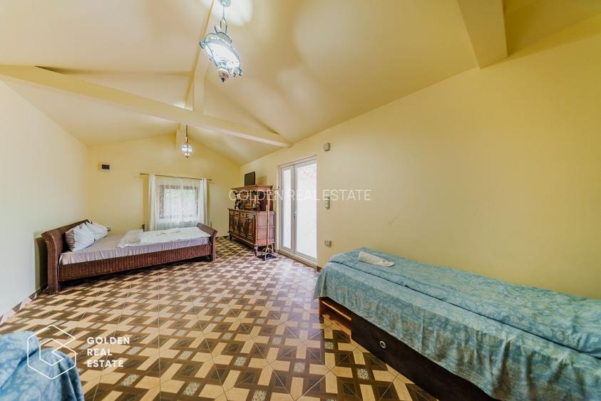 Afacere la cheie: Pensiune functionala sau casa de locuit, Ghioroc - 20
