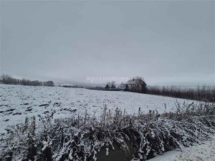 Teren intravilan Moara Bulai 51 ari - 2