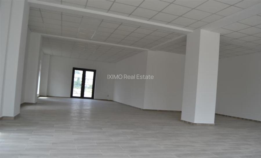 Spatiu Zona Narcisa Republicii - 7