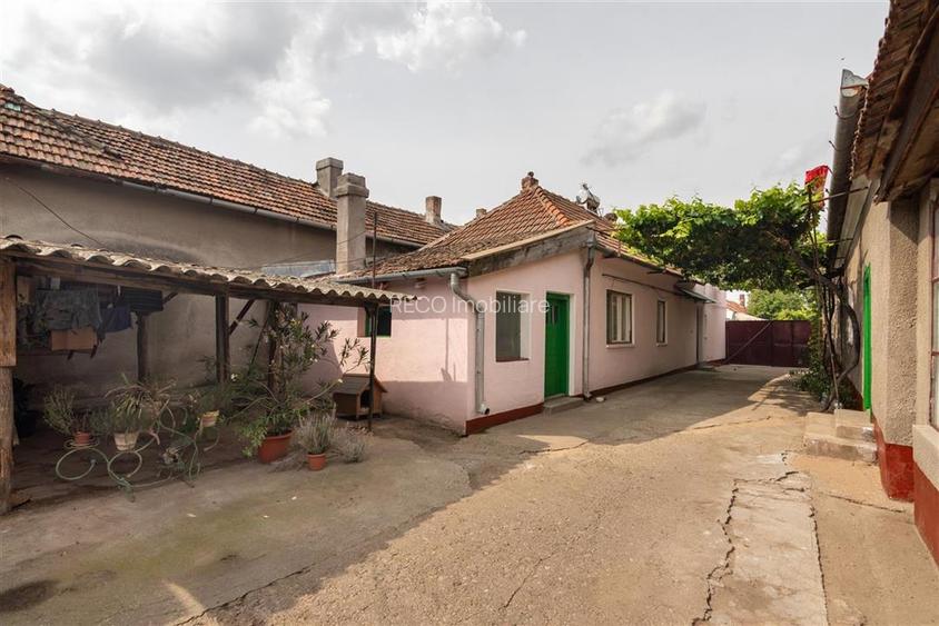 Teren mare cu 2 case si front la 2 strazi in Tamaseu - 38