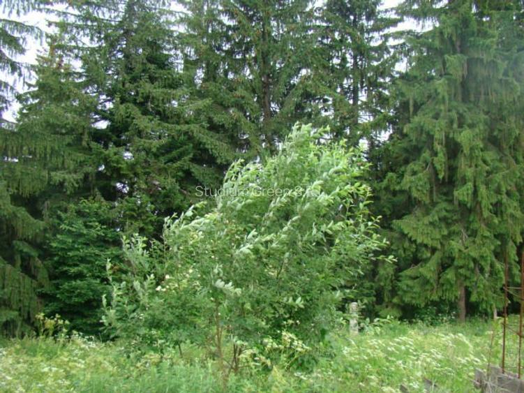 Proprietar vand teren in Predeal langa Complex Belvedere-Verona- Eden-comision 0 - 6