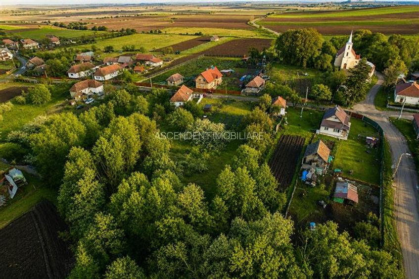 Teren cu proiect aprobat si utilitati:start ideal pentru casa ta in Aninoasa - 2