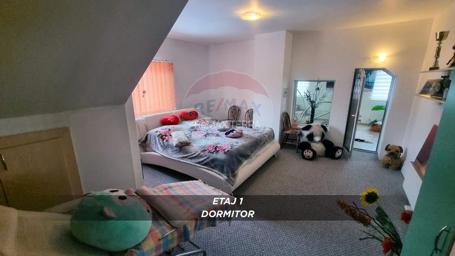 Casă / Vilă cu 10 camere de vânzare în SIGHETUL MARMATIEI zona Central - 50