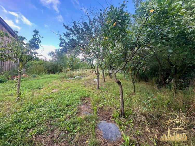 Casa cu anexe si teren de 959 mp de vanzare in Tinca - Bihor - 3