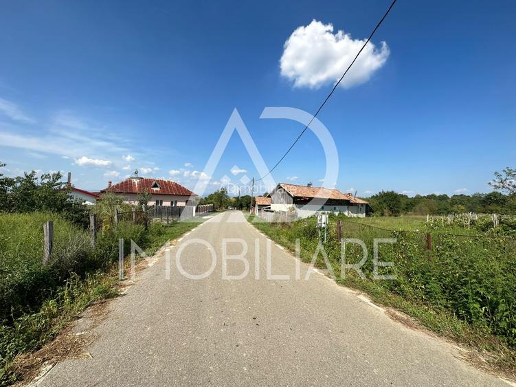 Teren situat în Drăguțești, sat Urechești - 6