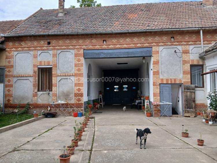 Vând casă în loc. Bulgarus jud Timis - 4