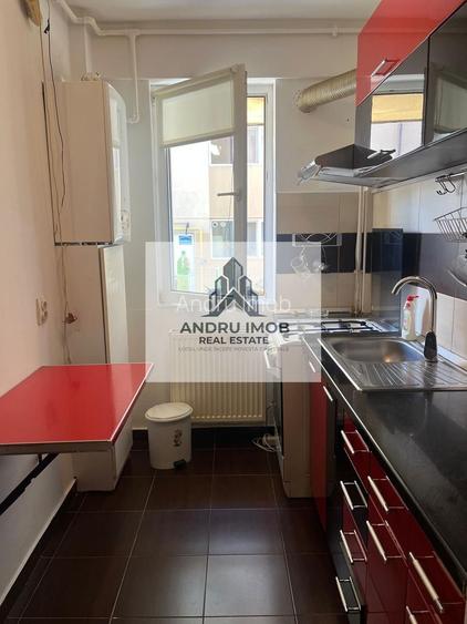 Apartament 2 camere/ Parc Laurentiu Raiciu/ Drumul Fermei - 9