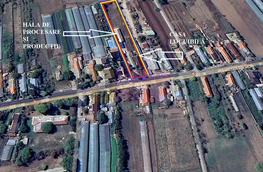 Hală producție Ambalaje Carton și casă locuibilă la 25km de București - 5
