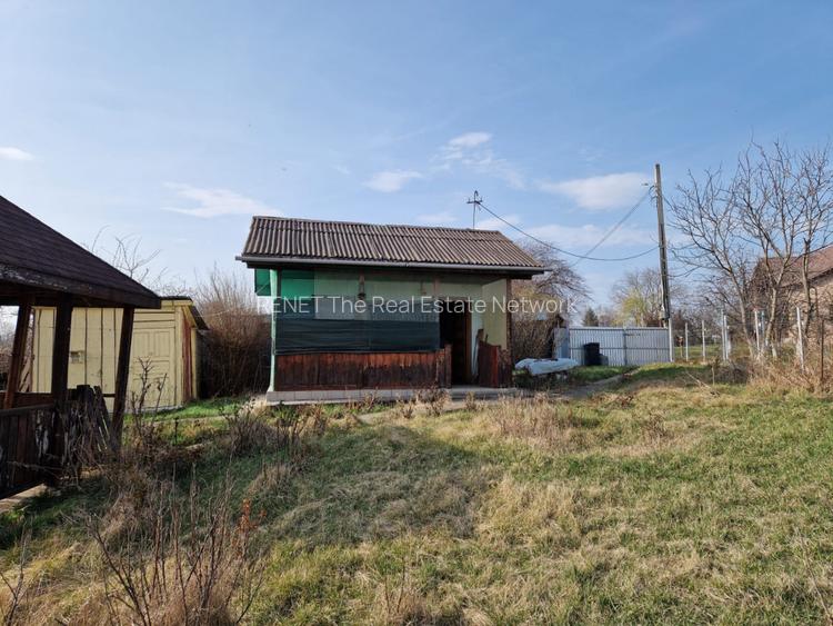 Teren - Roman  -Trifesti - ieșire la lac - livada pe rod - 6