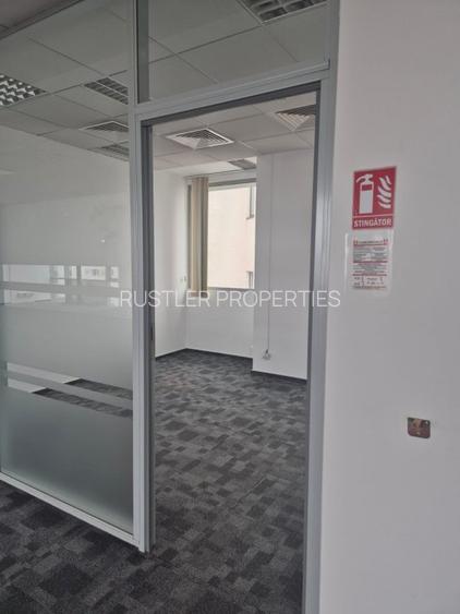 Cascade Offices – Birouri de inchiriat Piata Victoriei, Buzesti - 7