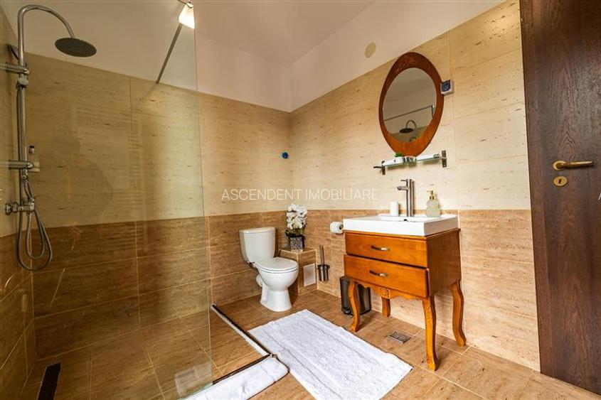 Descopera oportunitatea! Imobiliar&Transfer Business in inima statiunii Poiana B - 27