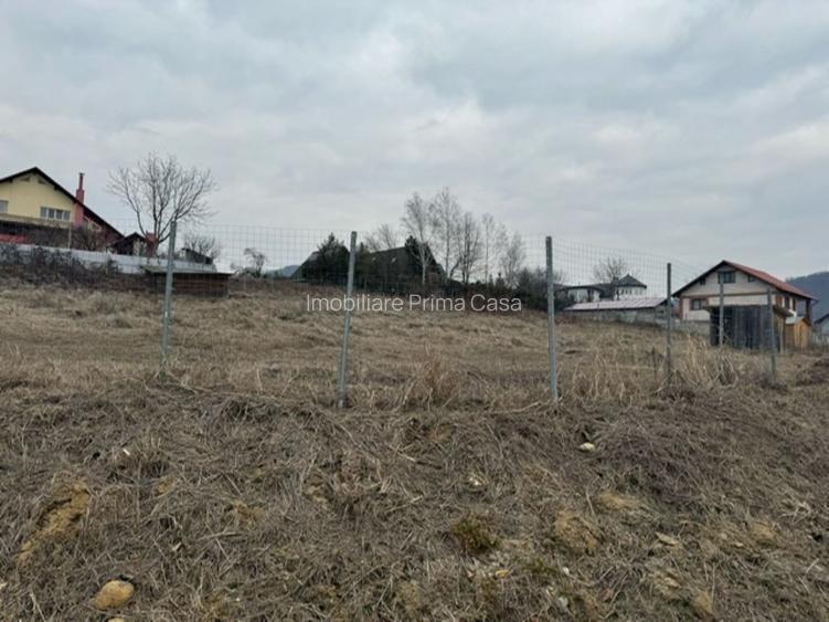 TAUTII MAGHERAUS - drumu Nistrului 16 ari teren intravilan pt case! - 3