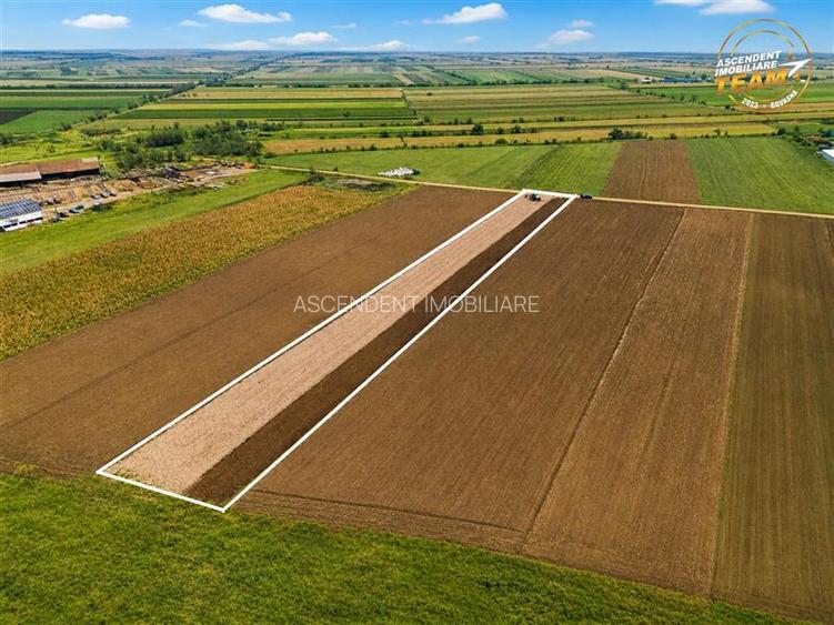 FILM! In areal linistit, acces facil, 4.200 mp  teren extravilan, Covasna - 4