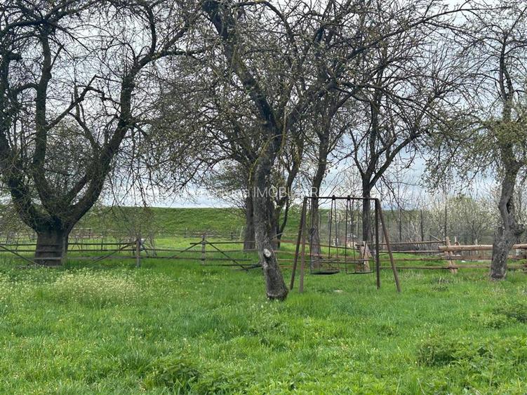 Comision 0%Casa traditionala, la 25 km de Brasov - 8