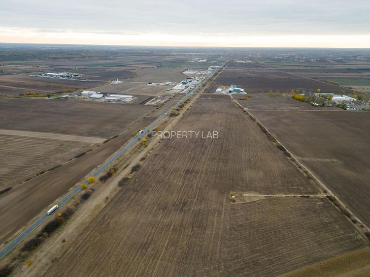 Teren 22.500 mp–Pecica, jud. Arad,Posibilitate PUZ - 3