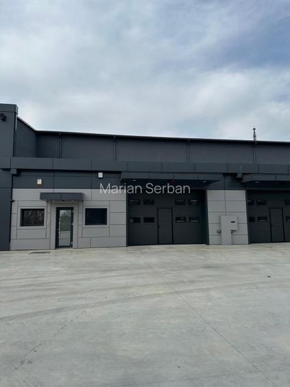 De închiriat hale industriale – Constanța Str. Celulozei (Zona Dobrogea) - 15