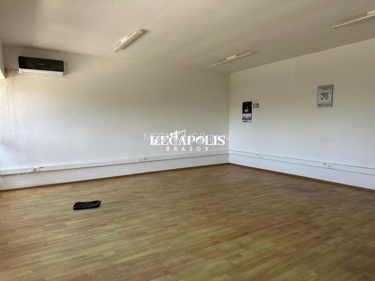 Hala Brintex str.Bazaltului / 5 euro mp - 13