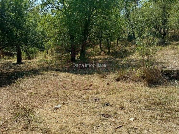 CASĂ IABLANIȚA,JUD. CARAȘ-SEVERIN - 12