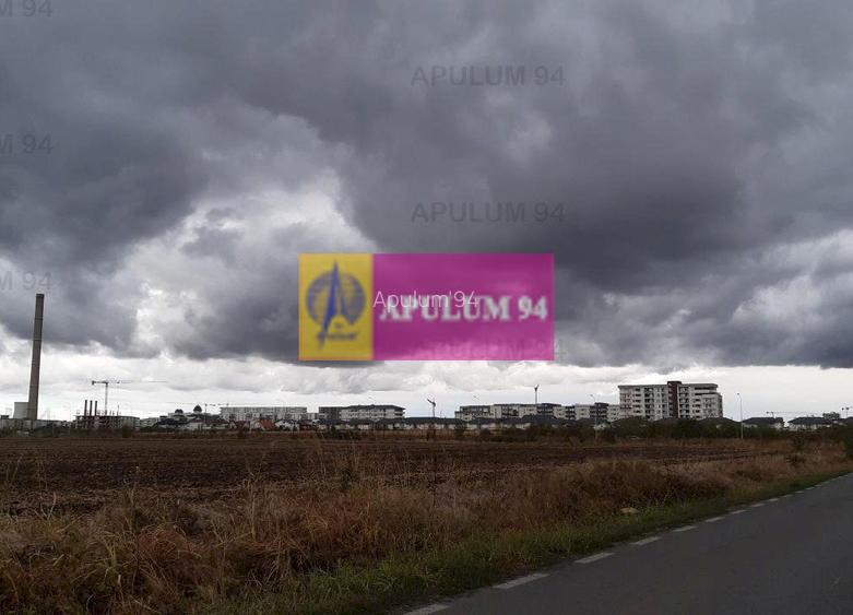 Hală 3600mp zona de Sud a capitalei - 31